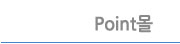 Point몰