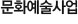 문화예술사업